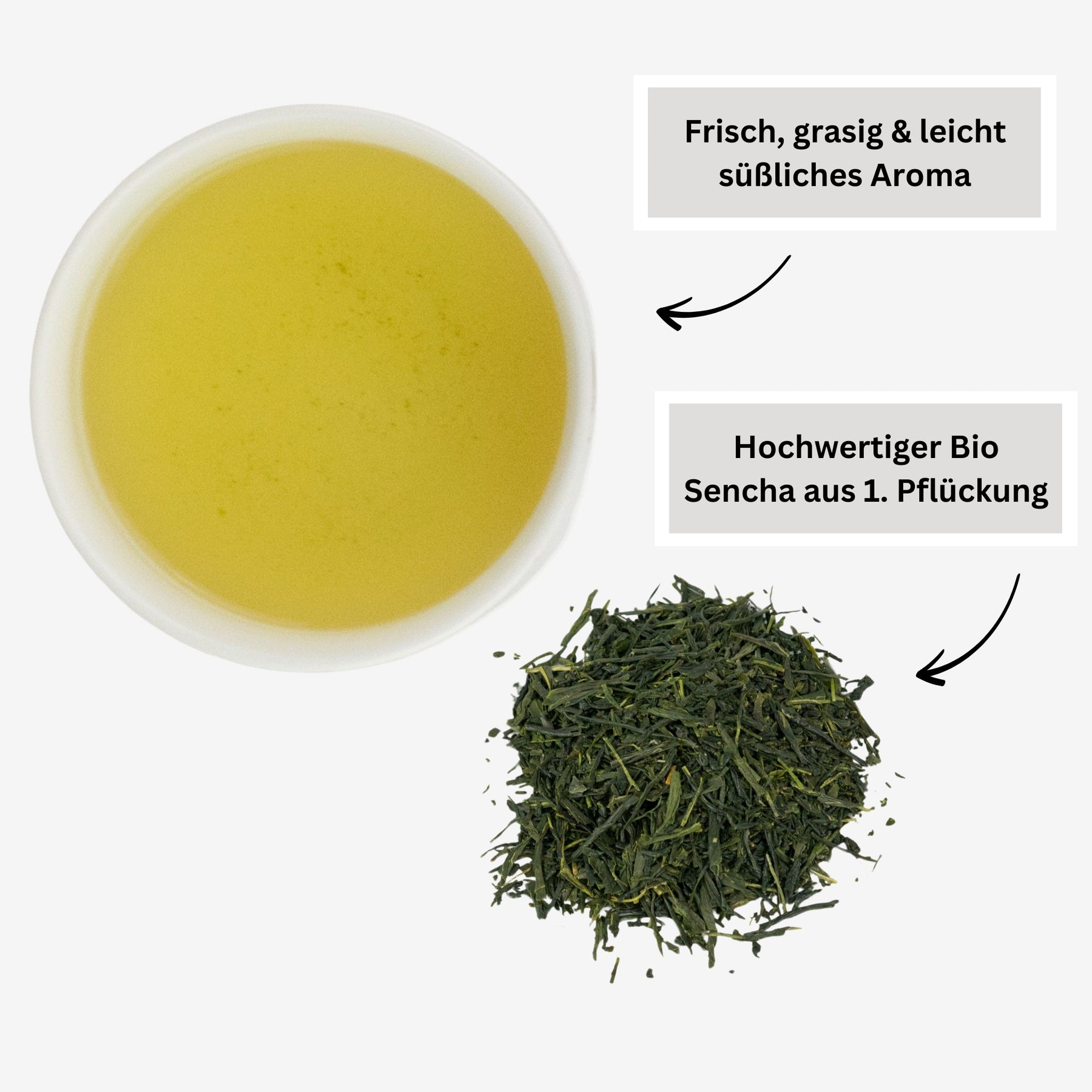 SENCHA TEE